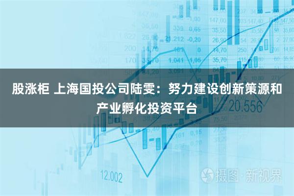 股涨柜 上海国投公司陆雯：努力建设创新策源和产业孵化投资平台