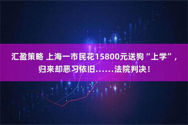 汇盈策略 上海一市民花15800元送狗“上学”，归来却恶习依旧……法院判决！
